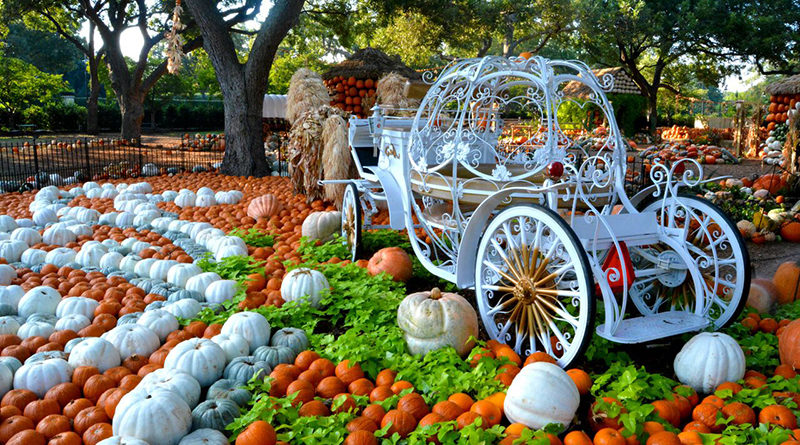 Dallas Arboretum Announces Fall Festival | People Newspapers