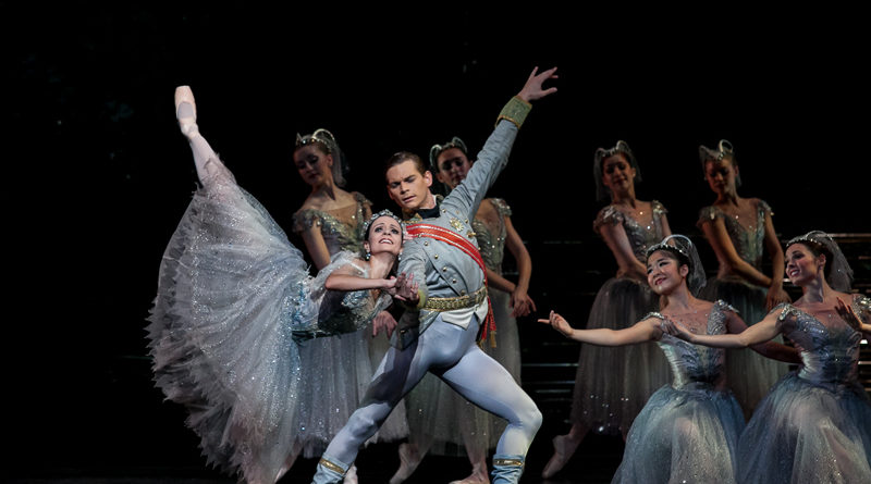 2014 production of the sleeping beauty