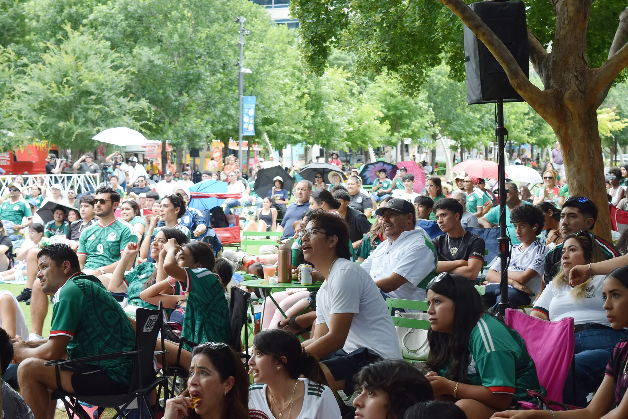 World Cup Fever Takes Root at the Park